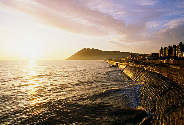 鲜为人知的爱尔兰移民