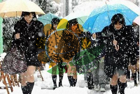 这就是日本的“忍耐教育”