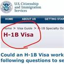 H1-B签证批准率创十年新低，平均年薪提高至9.2万美元