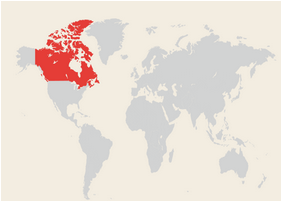 选择魁北克投资移民公司的四大要求