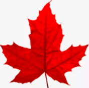 移民加拿大，这个低门槛低成本的项目了解下