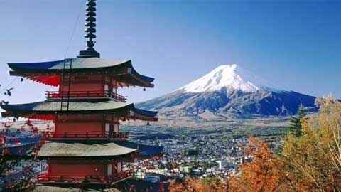 为什么移民日本的人越来越多？