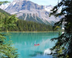 安省BC挤破头？这个省竞争小、名额多、条件更宽松——加拿大省提名洼地全解析